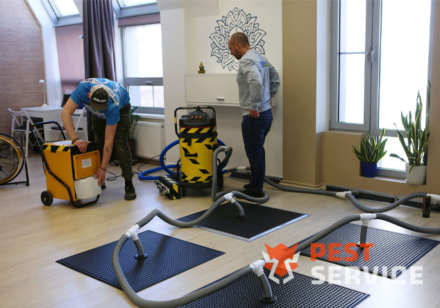 Профессиональная сушка после потопа в Новоалтайске от 3000 руб. Быстро устраняем влагу, предотвращаем плесень и повреждения. Современное оборудование и опытные специалисты. Безопасно и эффективно.